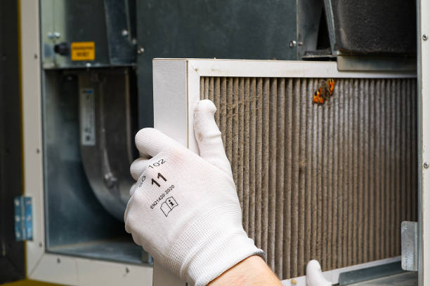 Best Emergency Air Duct Cleaning  in Del Rio, CA