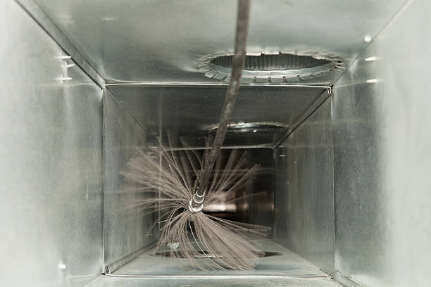 Air Duct Mold Removal in Del Rio, CA